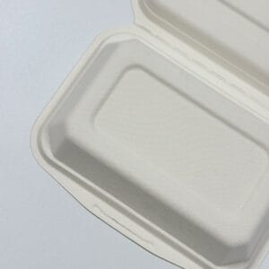 Biodegradable sugarcane food clamshell container 6.7 x 5 inch takeout box detail view