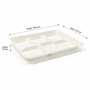 PFAS-freie 5-Fach-Einwegschale 10 x 8 Zoll biologisch abbaubare Zuckerrohr-Schulschale