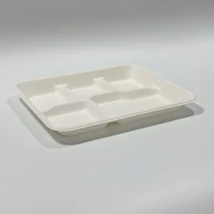 Biologisch abbaubares Tablett aus Zuckerrohr mit 5 Fächern für das Schulessen in der Cafeteria