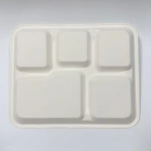 PFAS-Free 5-Compartment Disposable Tray 10″ x 8″ Biologisch abbaubares Schultablett