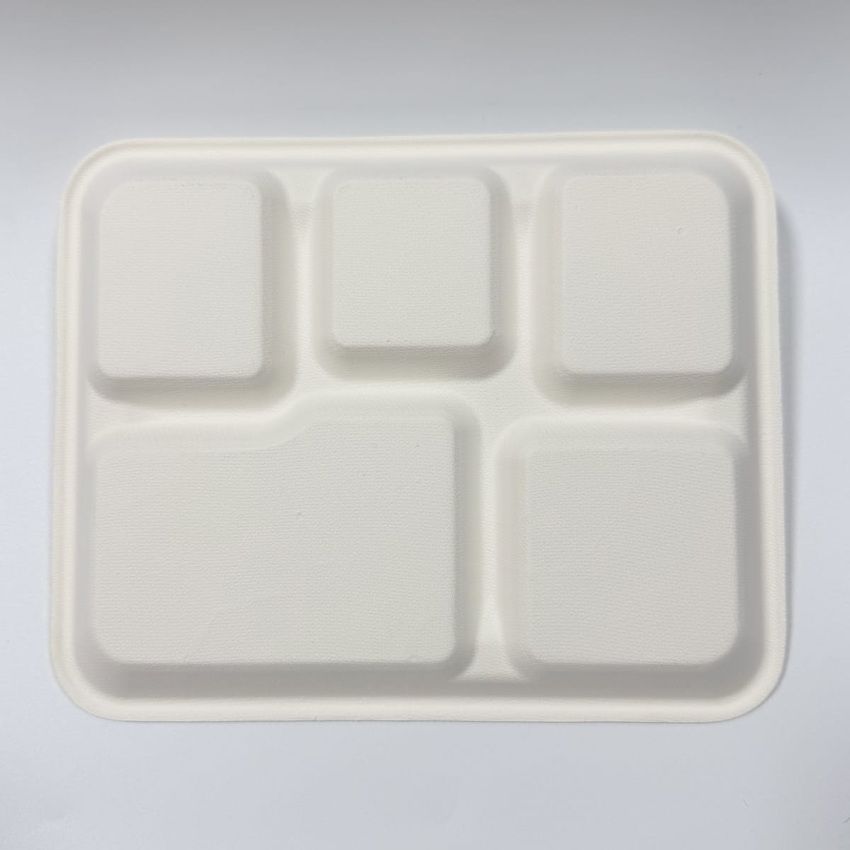 10 x 8 biodegradable sugarcane lunch tray with five compartments for schools