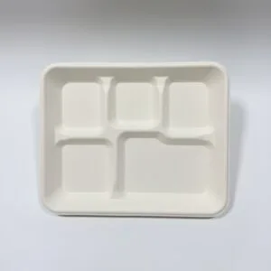 PFAS-Free 5-Compartment Disposable Tray 10″ x 8″ Biodegradable School Tray