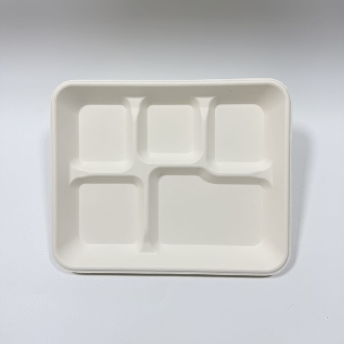 PFAS-Free 5-compartment disposable tray 10 x 8 inch biodegradable sugarcane school tray by Bioleader