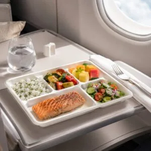 Composteerbaar suikerriet 5-compartment maaltijdblad voor lunchmaaltijden en cafetariaservice