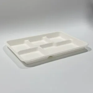 Einwegtablett aus Bagasse mit 5 Fächern für Schul- und Catering-Mahlzeiten