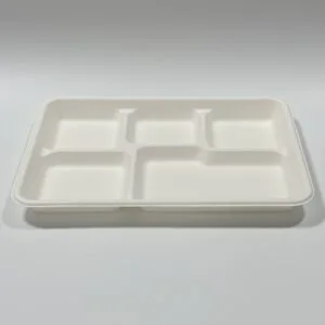 Kompostierbares Zuckerrohr 5-Fach-Mahlzeitentablett 11 x 8 Zoll biologisch abbaubares Essenstablett von Bioleader