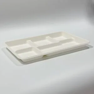 12.5 x 8.5 bandeja de comida biodegradable de caña de azúcar con cinco compartimentos