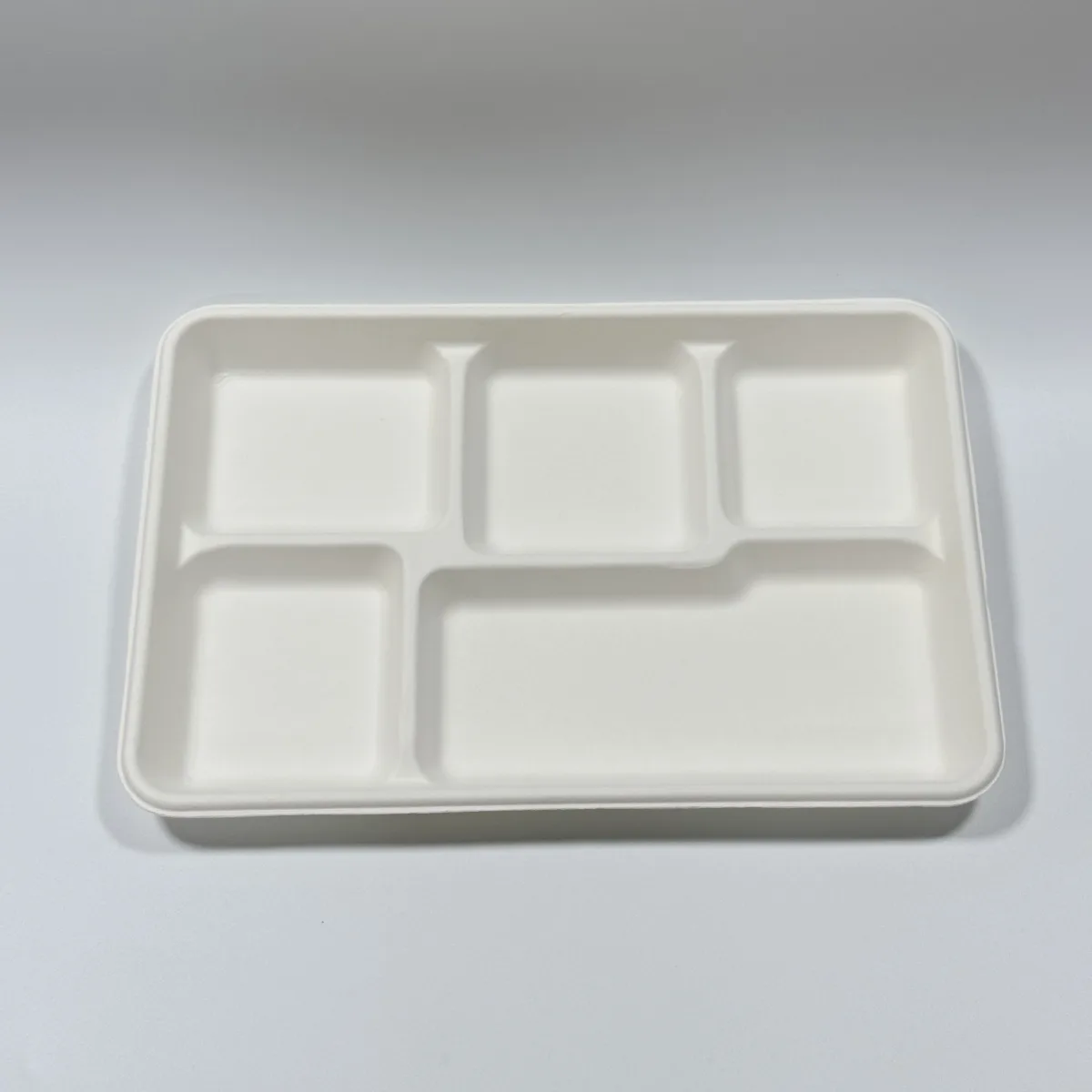 Eco-friendly 5-compartment sugarcane tray 12.5 x 8.5 inch disposable meal tray by Bioleader