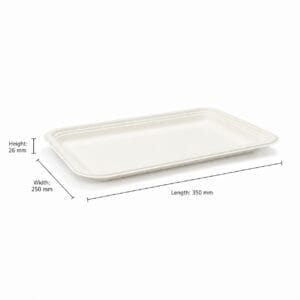 Kompostierbares Zuckerrohr-Tablett 13,5 x 10 Zoll Papier Zellstoff Lebensmittel servieren Tablett