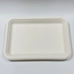 Compostable Sugarcane Tray 13.5″x 10″ Paper Pulp Food Serving Tray