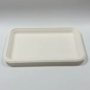 Bandeja de servicio de alimentos de caña de azúcar compostable para comidas de cáterin, buffet y cafetería
