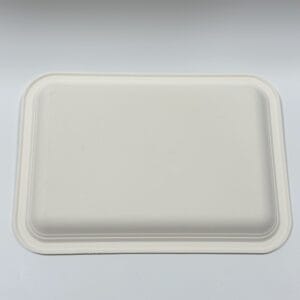 Biologisch abbaubare Lebensmittelschale aus Zuckerrohrpapier für Catering und Buffet