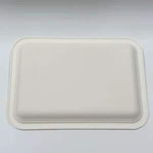 Bandeja de alimentos de pulpa de papel de caña de azúcar biodegradable para servicio de cáterin y buffet