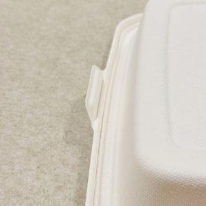 1000ml 3 Compartment Compostable Takeaway Bento Box with Lid (10)