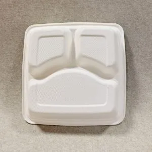 1000ml 3 Compartimentos Compostable Takeaway Bento Box com Tampa (7)