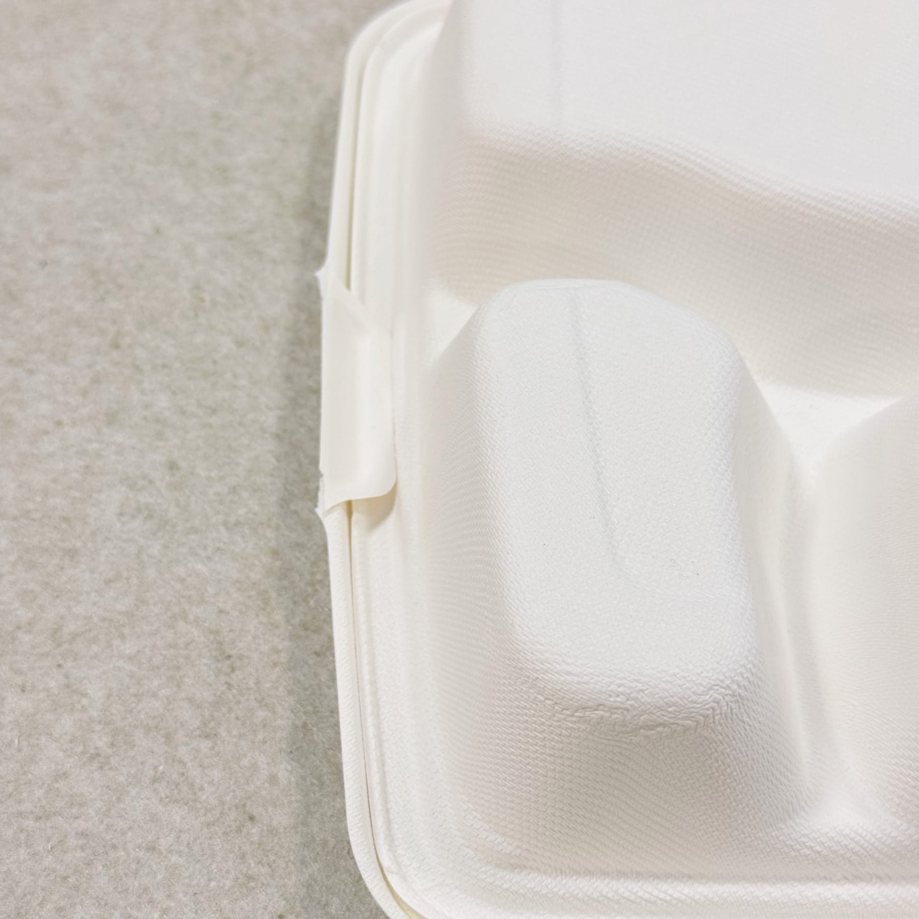 Bagasse-Lebensmittelbehälter mit 4 Fächern, Textur und Details 