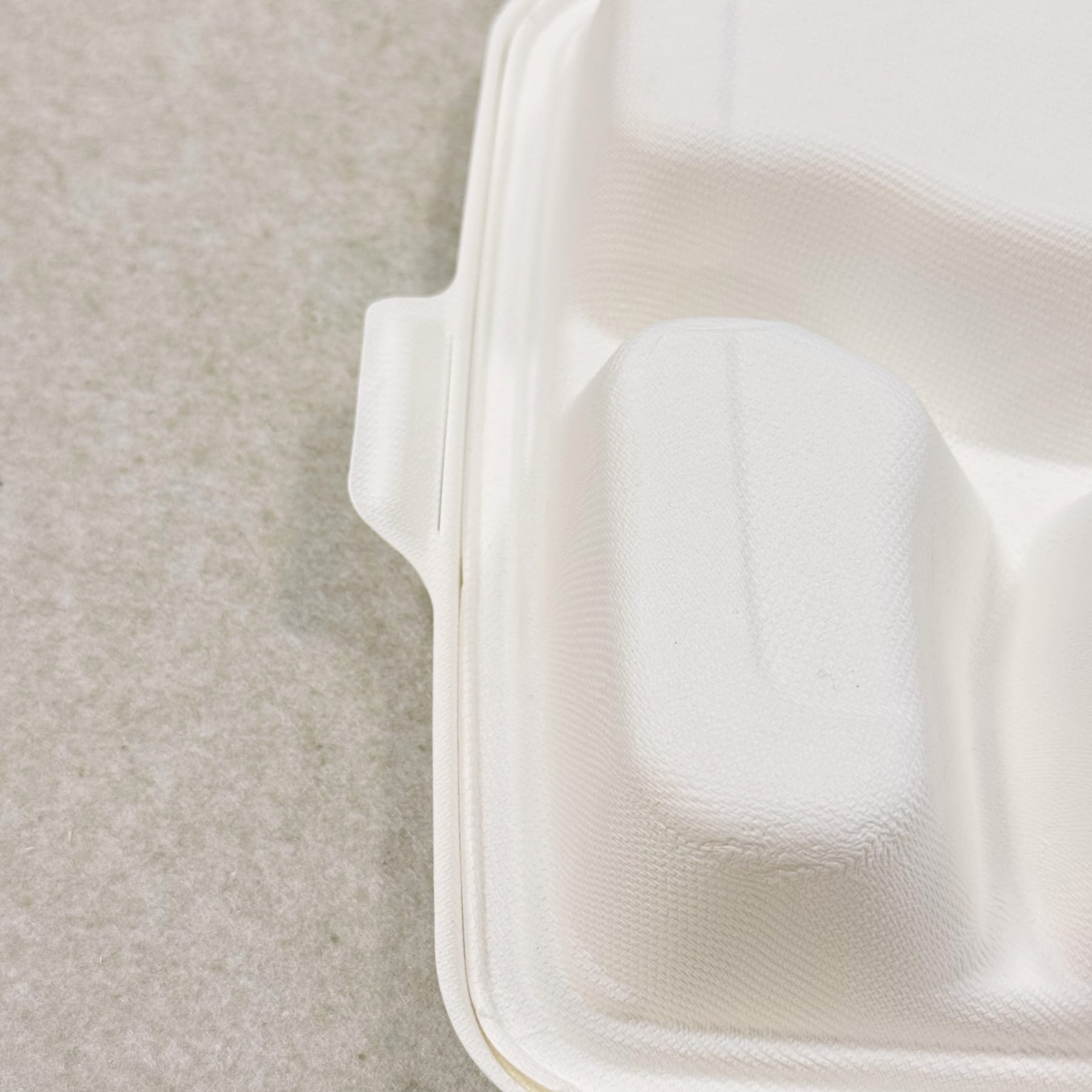 Bagasse-Lebensmittelbehälter mit 4 Fächern, Textur und Details