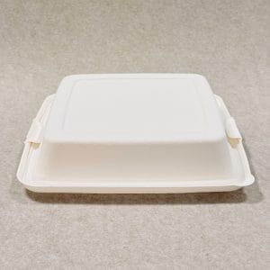 9 x 9 Sugarcane Food Container with Lid 1000ml (10)