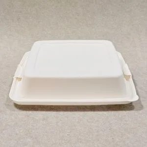 Recipiente alimentar de cana-de-açúcar 9 x 9 com tampa, 1000 ml (10)