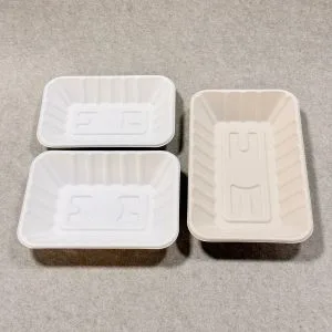 Biologisch abbaubares Obsttablett 9 x 5 (3)