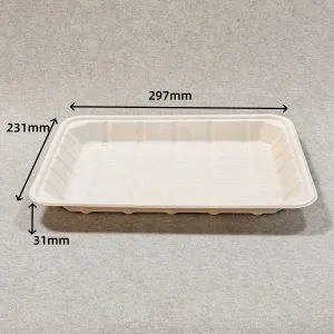 Compostable bagasse meat tray 12 x 9 with size dimensions