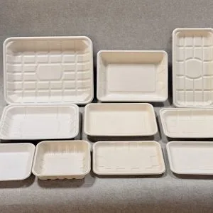 Kompostierbare, kunststofffreie Schale für frisches Obst und Gemüse aus Bagasse