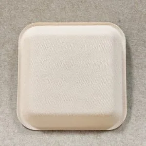 Plateau à snacks compostable 6 x 6 (3)