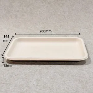 Einzelproduktpräsentation der kompostierbaren Bioleader-Supermarktschale 8 x 5,5, die die geformte Zellstoffstruktur, die saubere Oberfläche und das plastikfreie Design für Einzelhandels- und Frischwarenverpackungen zeigt.