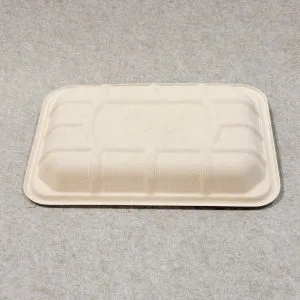 Composteerbaar Supermarkt Verpakkingsbakje 8 x 6 (4)