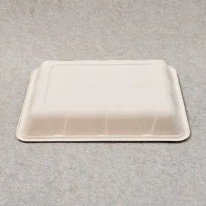 Bandeja de frutas e legumes moldada em polpa de fibra 10 x 7 (5)