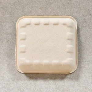 Compostable Mushroom Tray 6 x 6 (4)