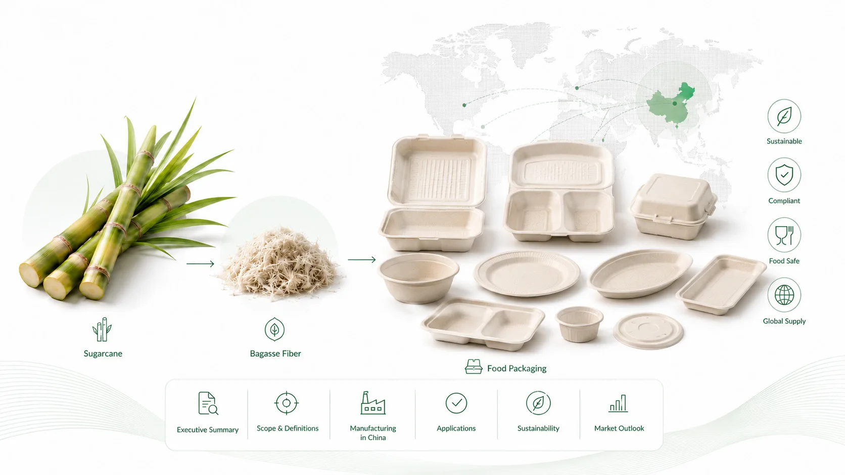 Sugarcane bagasse fiber to molded food packaging supply chain showing sugarcane, bagasse pulp, compostable containers and global supply map