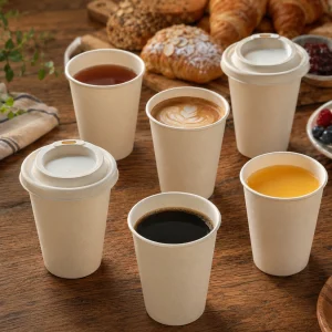 12oz compostable bagasse cups for drinks desserts catering and takeaway