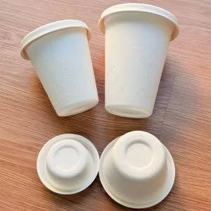 360ml compostable fiber pulp cup lid fit and molded structure details