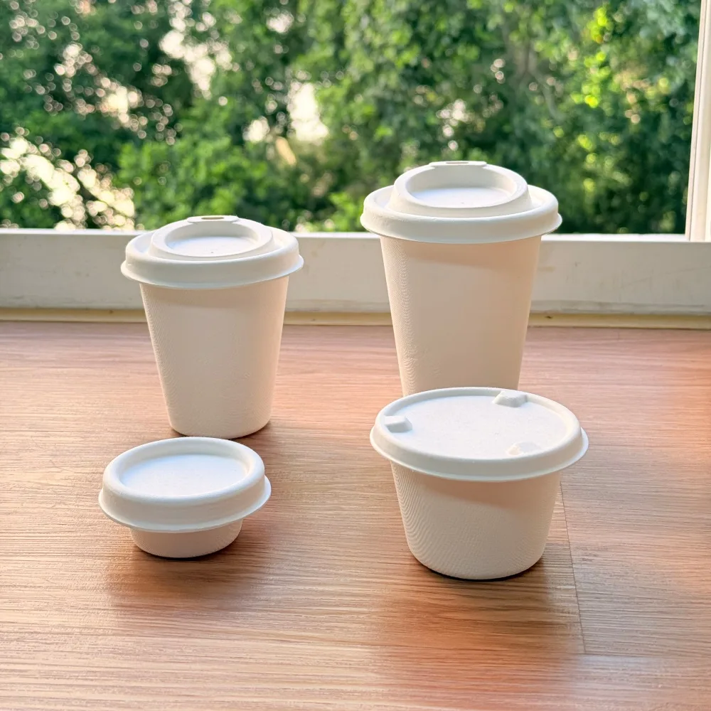 360ml compostable fiber pulp cup lid fit and molded structure details