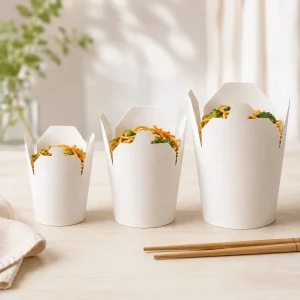 Boîtes et barquettes à nouilles en papier pour plats à emporter et livraison de repas