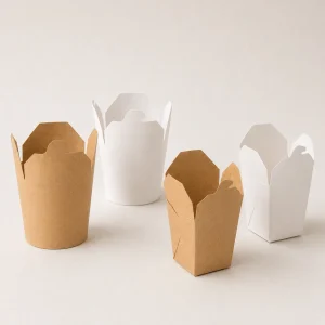 Fabricant et fournisseur de boîtes et barquettes à nouilles en papier personnalisées