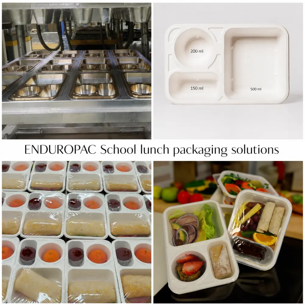 Bioleader Case 1:Custom three-compartment sugarcane bagasse school lunch tray developed for Enduropac in New Zealand