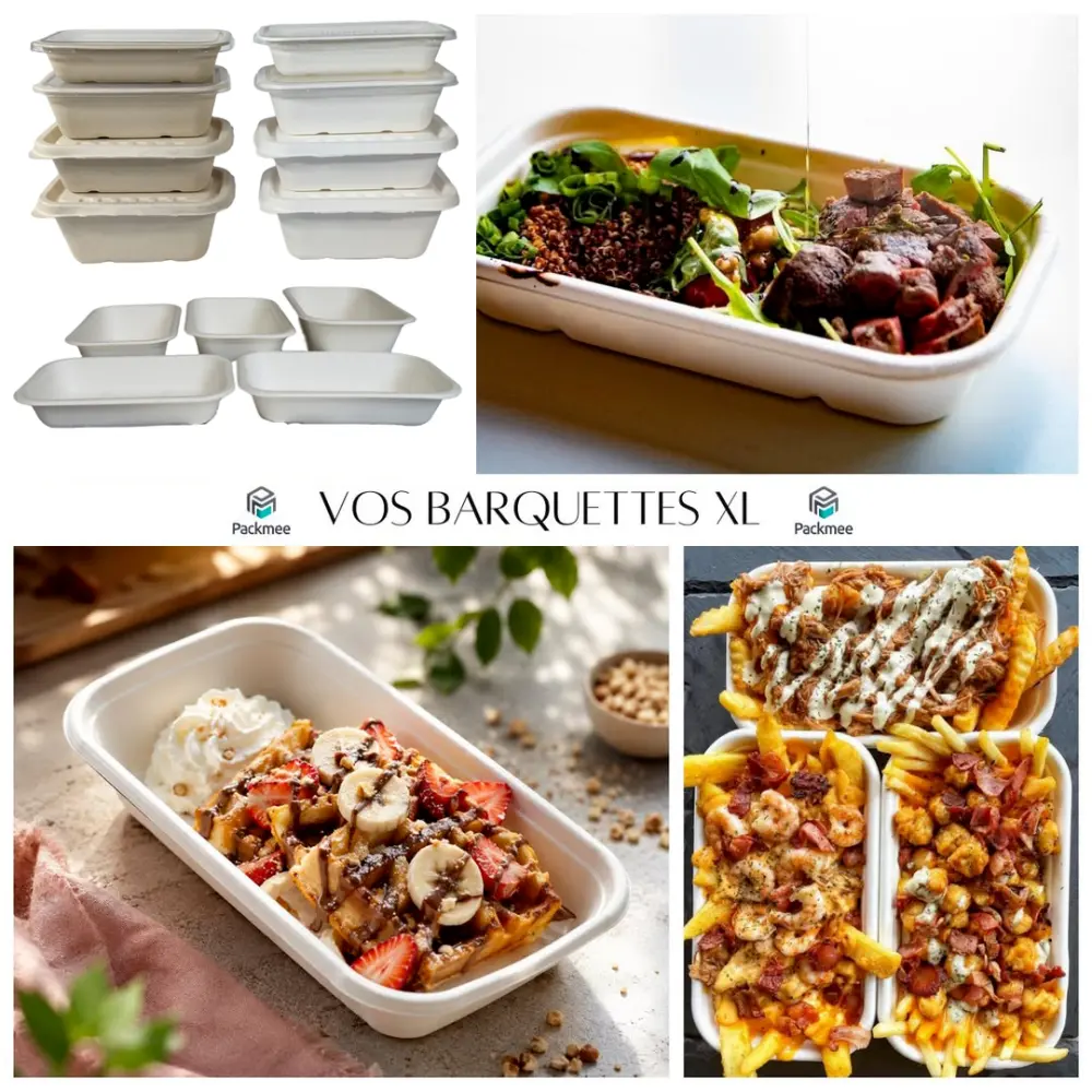 Bioleader Case 2: Plastic food packaging converted into sugarcane bagasse molded fiber tableware for Packme in New Caledonia