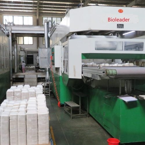 Processo di produzione delle stoviglie di stampaggio della polpa di bagassa di canna da zucchero